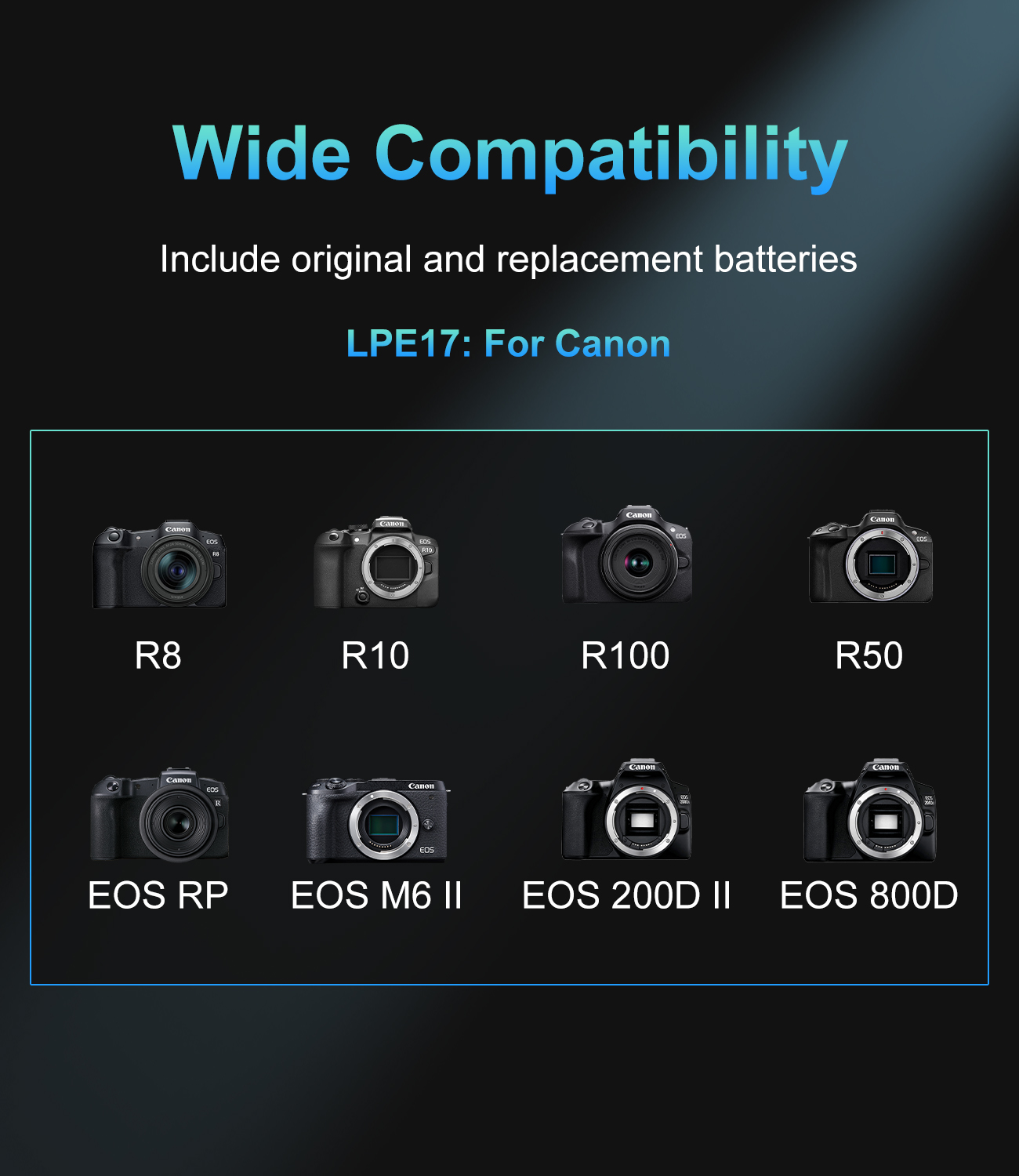 20W USB-C PD Dual Slot Charger - Canon Camera Eos R8 recension och pris